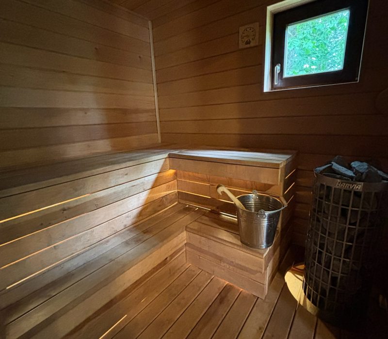 Saun 2